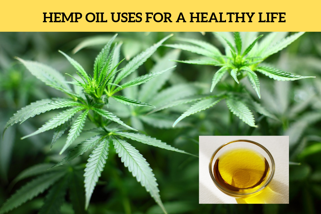 HEMP OIL USES FOR A HEALTHY LIFE - VNS Select