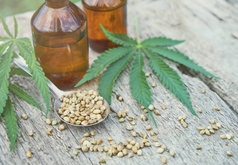 Cbd oil Manufacturing and cooking