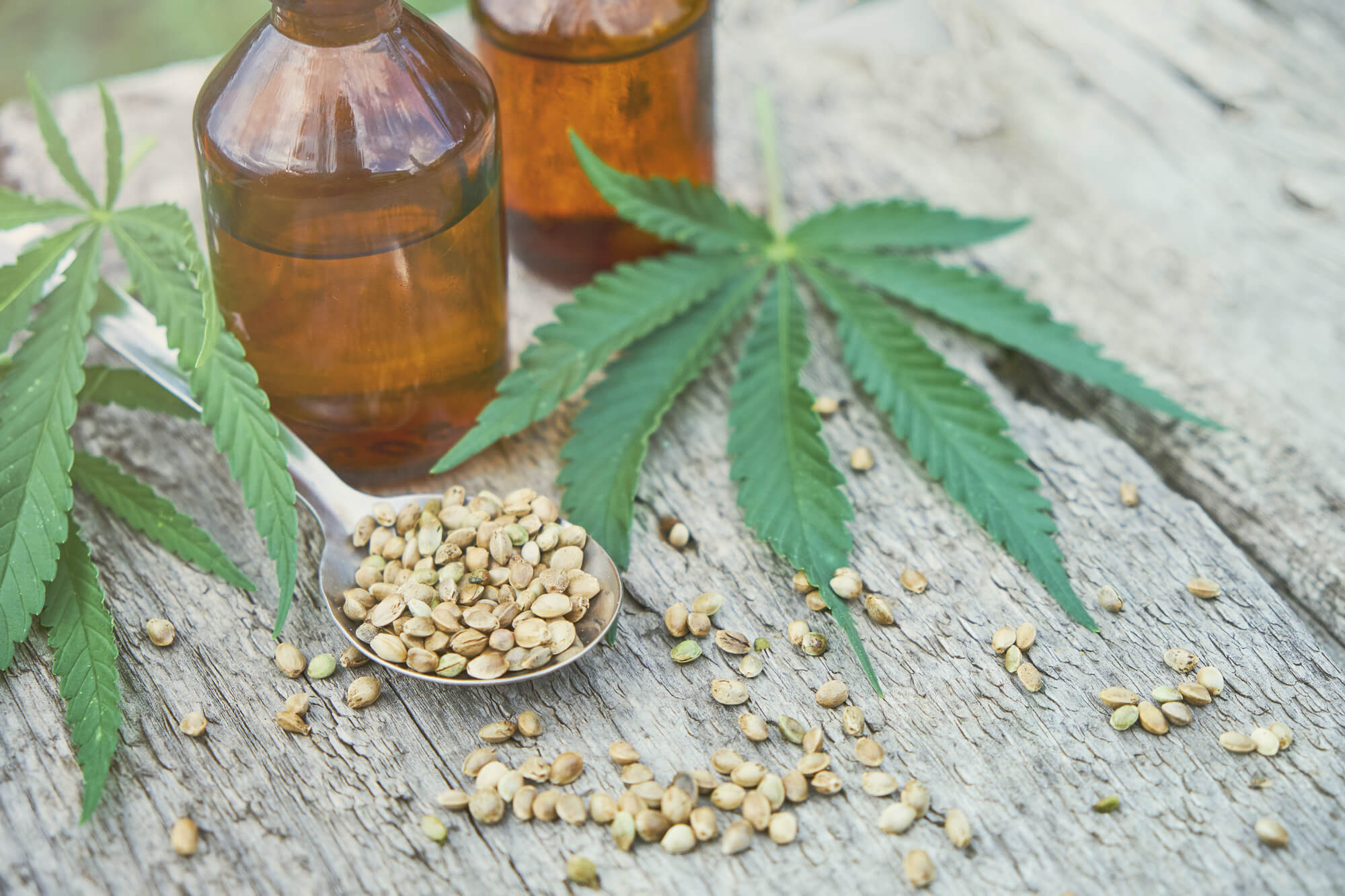 Cbd oil Manufacturing and cooking